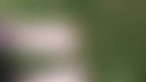 Füße