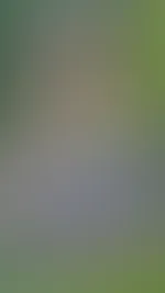 Genau mein Wetterđ