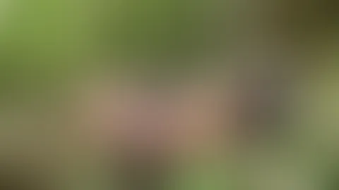 Im Dessous liege ich gemütlich auf einem Baumstamm und lasse meine nackten Tittchen die frische Waldluft geniessen