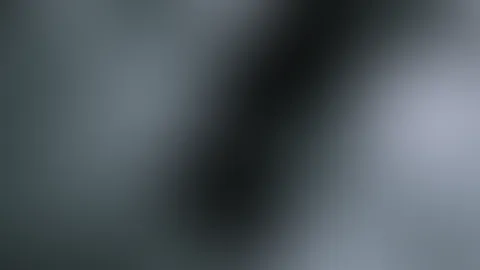 đ