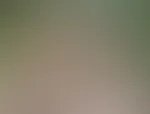 Soo, ich werde meinem Feed mal mehr Aufmerksamkeit schenken, sodass ihr seht das ein Abo sich lohnt ;* Das süße Mädchen hier mit mir auf dem Foto ist lovly Luna ♡ schon bald könnt Ihr ein paar Clips