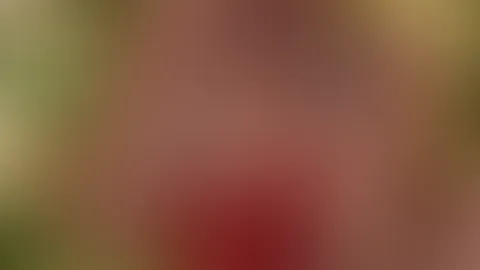 Türchen siebzehn 🔥❤️🔥Vanilla's Ass in neuen Dessous unterm Weihnachtsbaum 🎅🏽🎄🤤 heute wird es im Laufe des Tages ein geiles twerkvideo geben in diesen sexy Red Dress ❤️🔥 zusätzlich gibt's wied