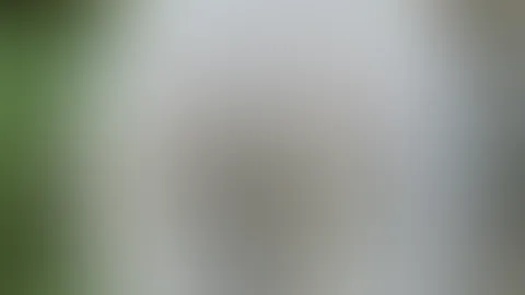 Guten Morgen Ich wünsche dir einen geilen Start in den Sonntag ❤️