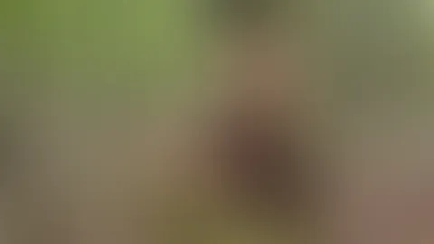 Mit nackten Brüsten im Wald