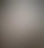 Analplug