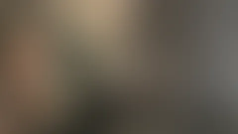 🎄