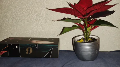 8. + 9. Dezember