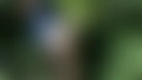 Hast du Lust mir in die Natur zu folgen? Komm mit und ich zeige dir mehr von mir <3 <3 <3