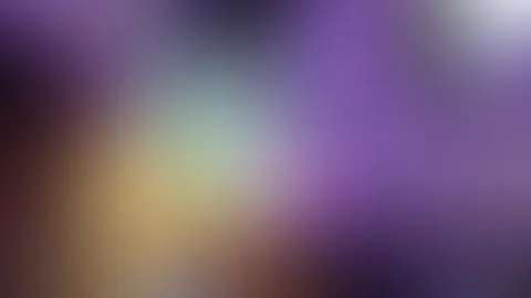Anprobe đ