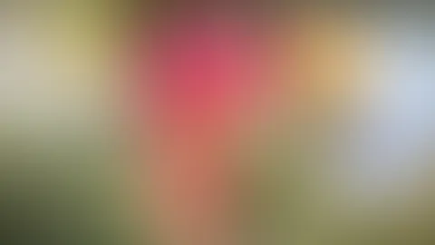 Schönen Wochenstart