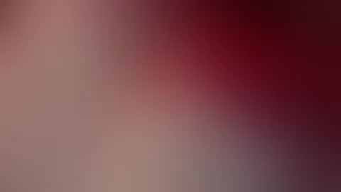 🤍🤍🤍🤍