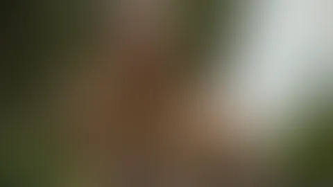 Kommst du mit schwimmen? đđŠ