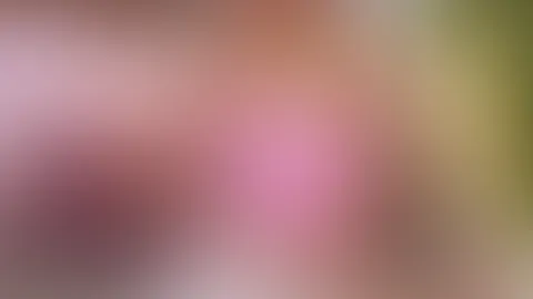 Alles vorbei nun können wir wieder nekisch werden