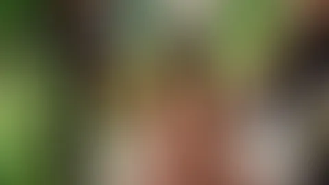 Bestens Entspannung nach dem Sonnenbad im Garten ...t2