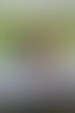 Ich wünsche dir einen schönen Abend 😘