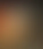 Schöne Beine in Nylons