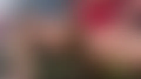 Hier ein kleiner Vorgeschmack für alle die mehr sehen wollen