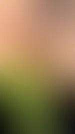 Hallo ihr lieben ein kleiner Einblick und meinen Vorlieben