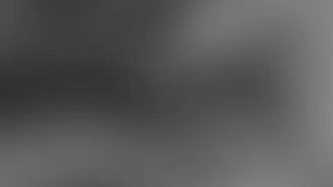 Clips eines sexchats