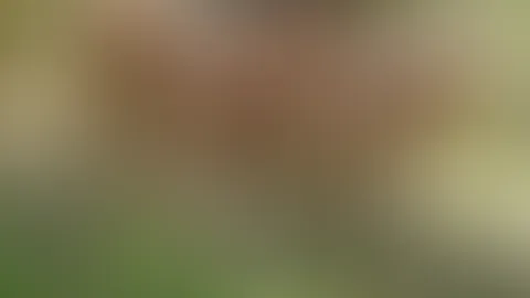 Natursekt compilation