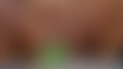 XL DILDO