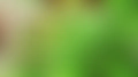 Wollen wir verstecken spielen?
