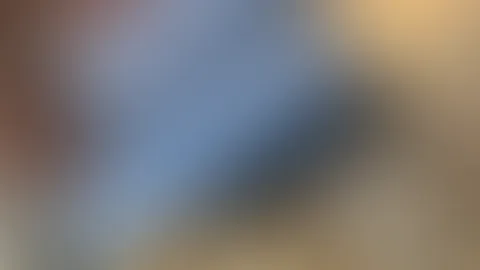 In der WeihnachtsbĂ€ckerei... đ€«đ„