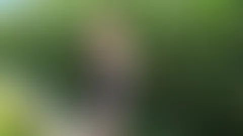 Hast du so etwas schon einmal gesehen? - MAISERNTE mal anders!