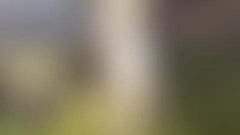 Ich konnte euch das einfach nicht Vorenthalten 🤣🤣