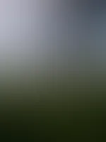 Geniesse den Tag
