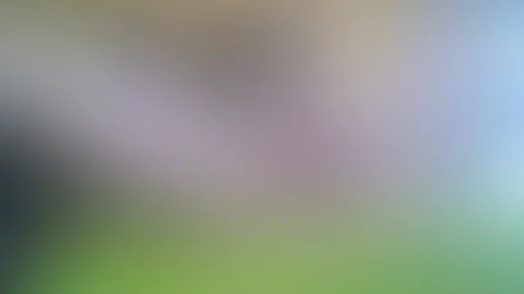 Wunsch Video