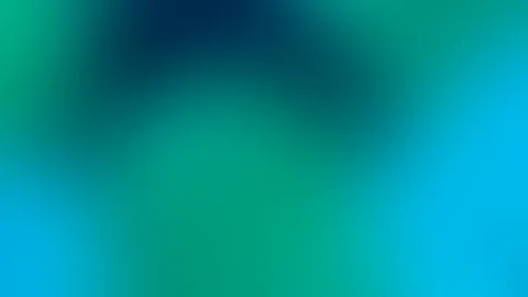✨