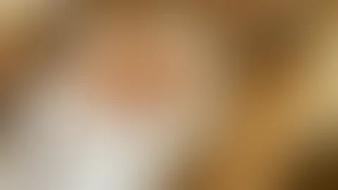 Guten Morgen