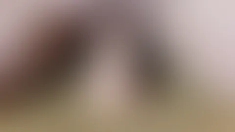 Dildo reiten mit Höhepunkt