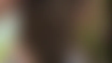 Meinst du der Gärtner kann mir wiederstehen? 🫢👨🏽🌾 könntest du ?🤤😈 er arbeitet hinten und ich bringe mich in Fahrt 🤤😈Gott.. wie viel kribbeln das in meinem Bauch verursacht 🥰💓er da hinten ah
