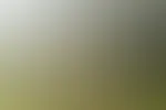 Direkt neben dem FuĂballfeldđ€« đ
