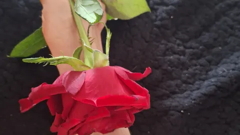 Meine Füsse für dich