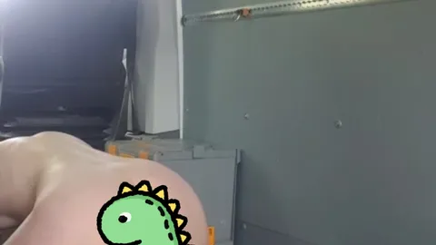 Vögeln im Bus