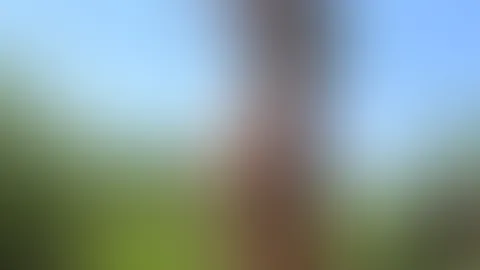 Ich liebe den Sommer 😌 Besonders wenn man einfach jeden Tag genießen kann