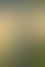Schönen Wochenstart euch allen đ„đ