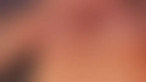 ☀️☀️☀️