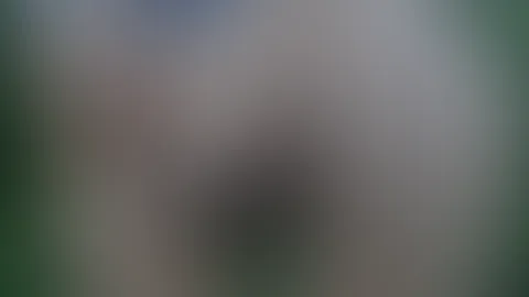 Ich zeige dir bei einem Spaziergang meine schöne P***y 😏
