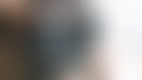 Das erwartet dich ..