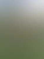 Wo sind meine Fußliebhaber 👅🦶🏻