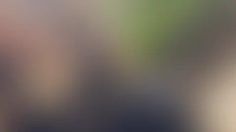 đ