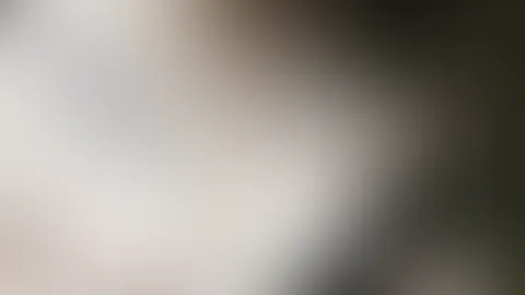 💋