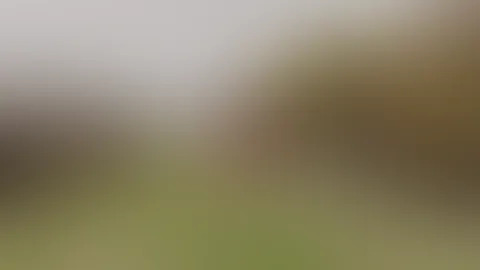 Würdest du mit mir joggen oder anderen Sport gemeinsam machen?🤭