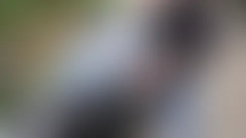 Kleine ausfahrt🤭