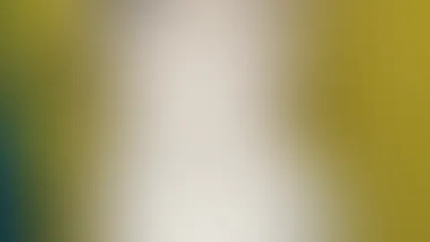 Passend zur WM