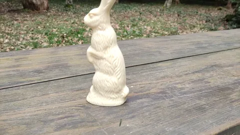 Im Wald mit dem Schokohasen